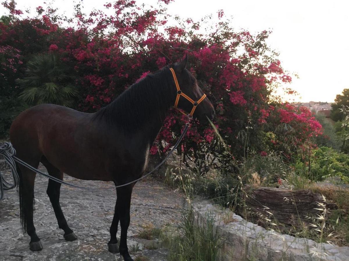 Country Sicily Home Favara Luaran gambar