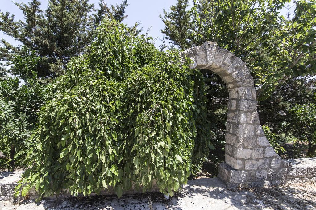 Country Sicily Home Favara Luaran gambar